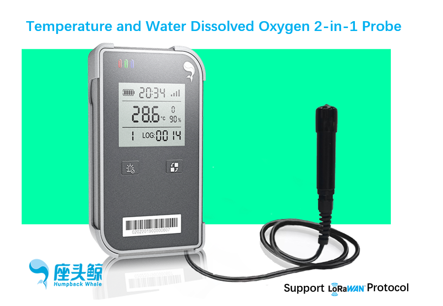 Water Dissolved Oxygen Temperature 2-in-1 Visual Whale Guard Series Data Acquisition Sensor