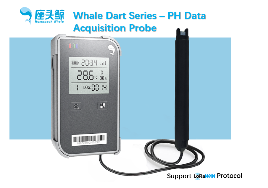 PH Data Acquisition Probe, Whale Dart Series Visual PH Data Acquisition Sensor, Remote Monitoring Whale Cloud Platform