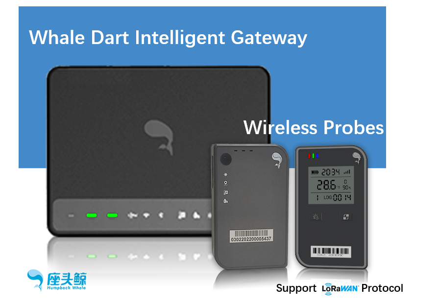 Whale Guard Series Smart Wireless Gateway