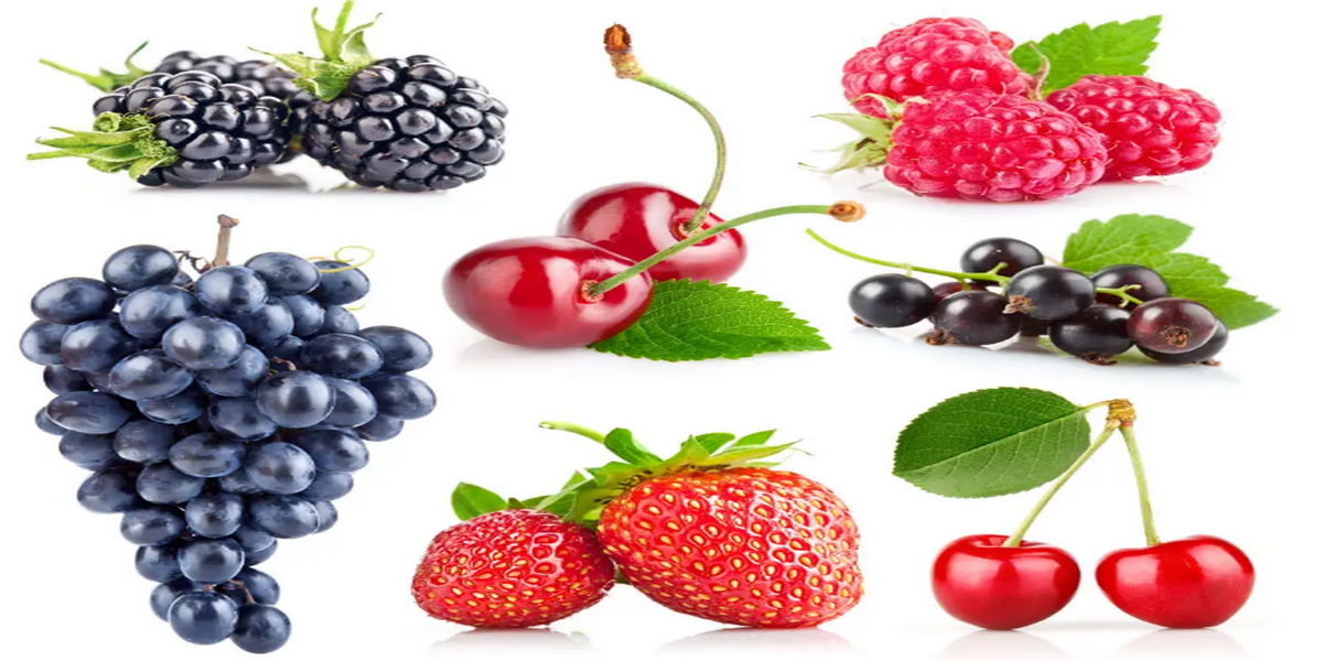 Strawberry, Blueberry And Other Small Berries Transportation Vibration And Storage Temperature Control Case