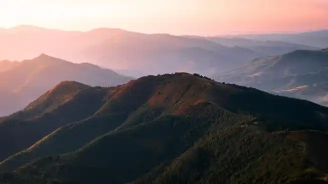 适用场景