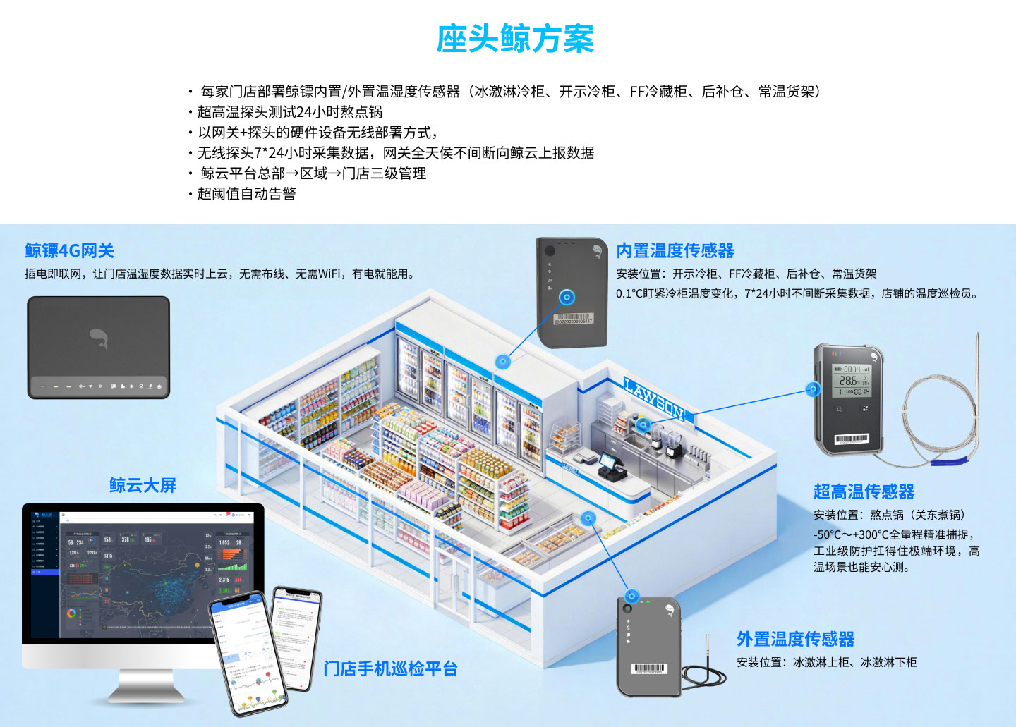 座头鲸方案