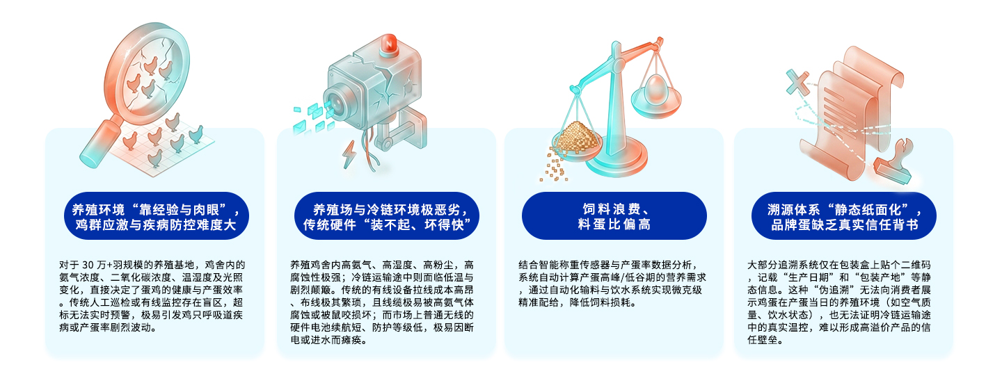 传统蛋鸡养殖与鸡蛋溯源的&ldquo;三大硬伤&rdquo;