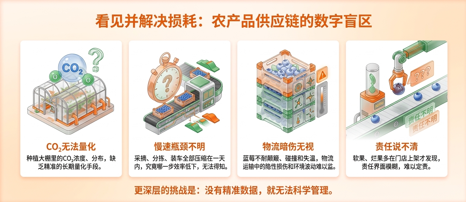 一颗蓝莓的一天